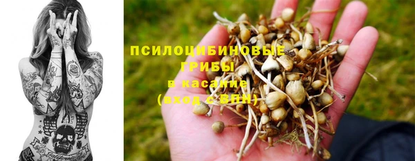 spice Магадан